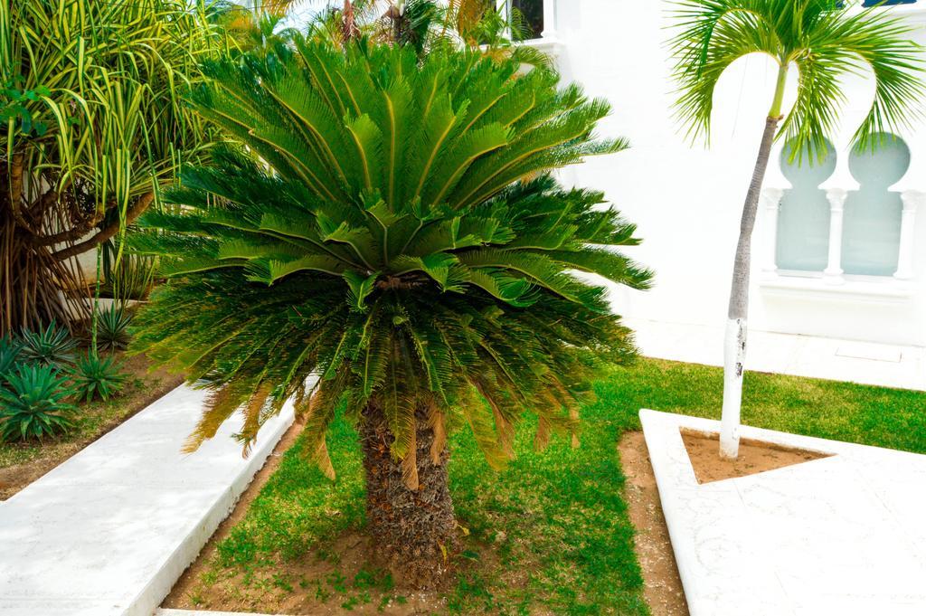 Hotel Aldea Del Bazar & Spa Puerto Escondido  Esterno foto